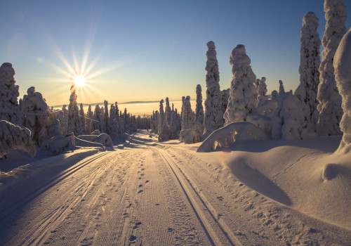 Hoe heten de oorspronkelijke bewoners van lapland? Alles over de Sami!